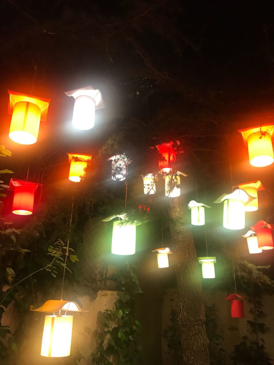 Klasik Ağaç Feneri