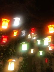 Klasik Ağaç Feneri