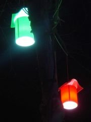 Ağaç Feneri Çatı+Kutu