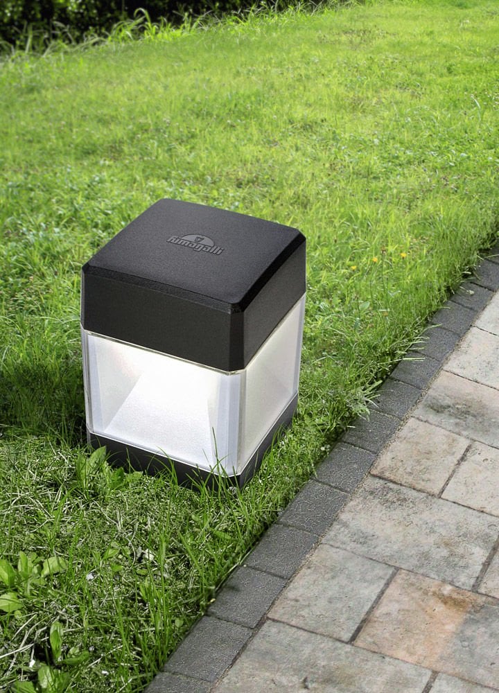 Fumagalli Elisa Spike