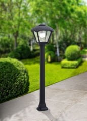 Fumagalli Giaffa/Dario