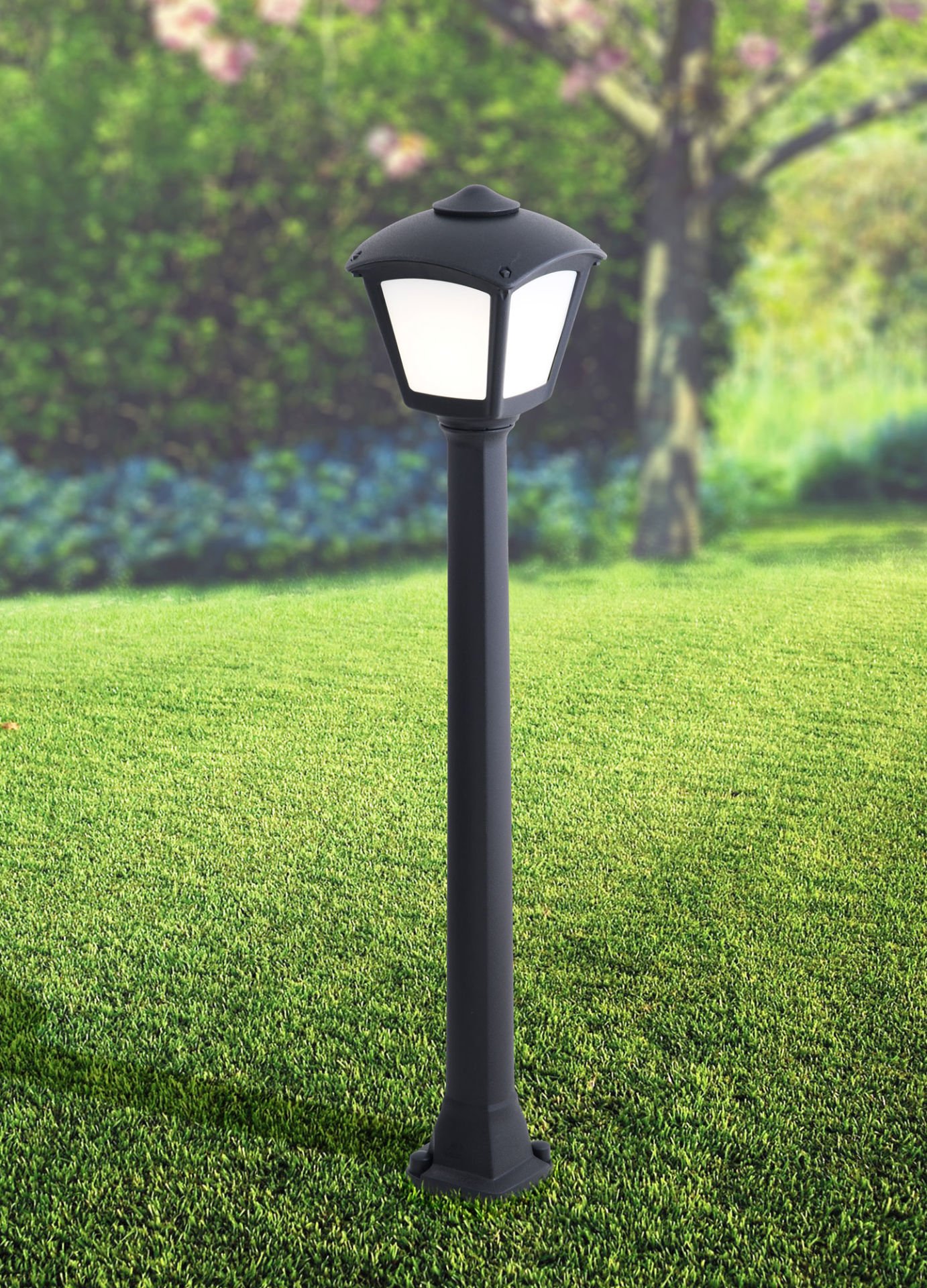 Fumagalli Giaffa/Roby